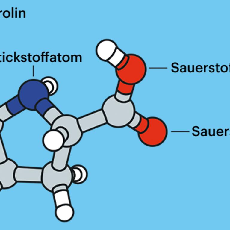 Symboldarstellung der Aminosäure Prolin