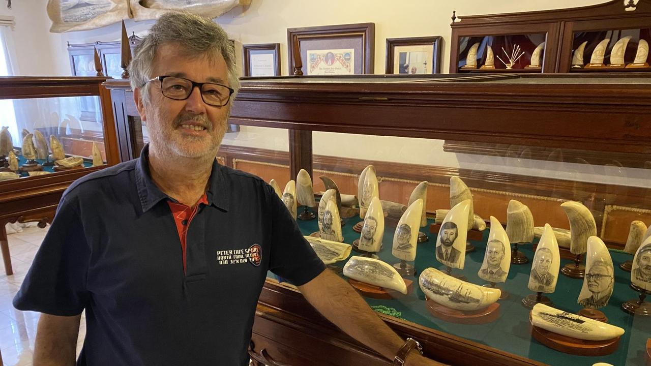 Ein Mann mit grauen Haaren und gauem Bart steht neben einer Sammlung von bemalten Walfischzähnen auf einer Kommode. Ein Mann mit grauen Haaren und gauem Bart steht neben einer Sammlung von bemalten Walfischzähnen auf einer Kommode.