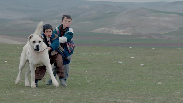 Eine Szene aus dem Film "Sivas"
