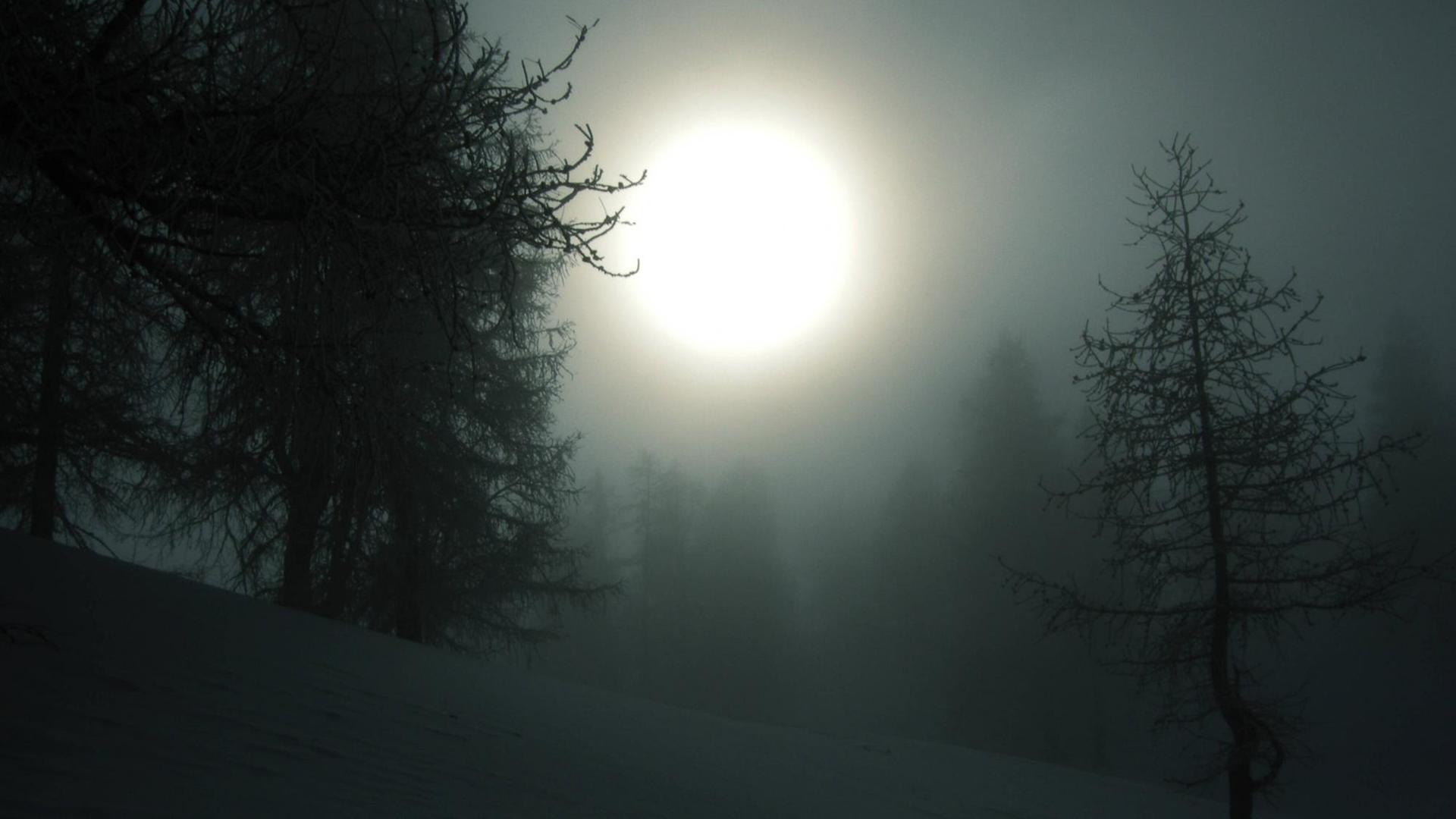 Drei Bäume stehen im Nebel. über dem duster ein Vollmond hervorlugt. Drei Bäume stehen im Nebel. über dem duster ein Vollmond hervorlugt.