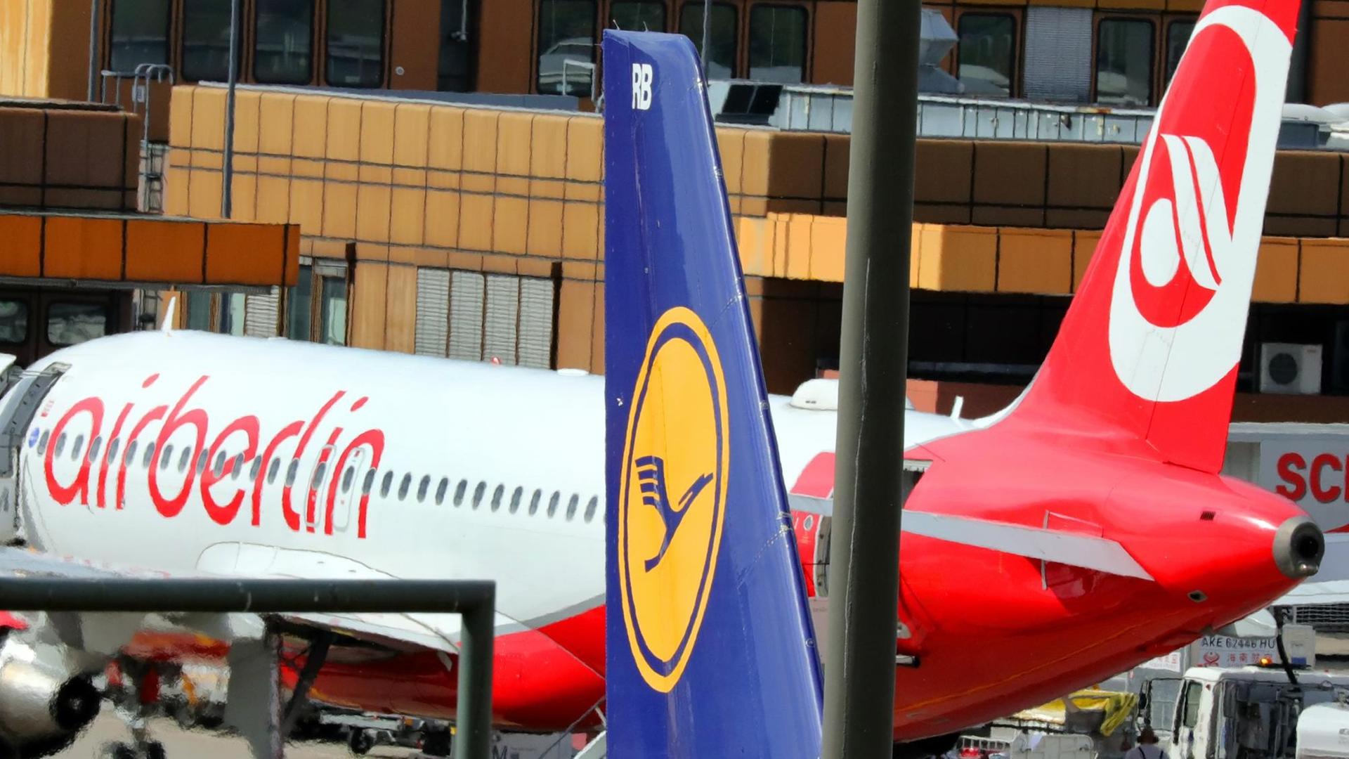 Eine Maschine der Fluggesellschaft Lufthansa rollt am 21.09.2017 auf dem Flughafen in Berlin-Tegel an Maschinen von Air Berlin vorbei. Eine Maschine der Fluggesellschaft Lufthansa rollt am 21.09.2017 auf dem Flughafen in Berlin-Tegel an Maschinen von Air Berlin vorbei.