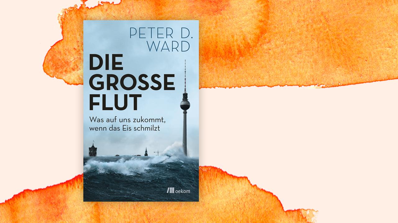 Das Cover des Buches von Peter D. Ward, "Die große Flut, Was auf uns zukommt, wenn das Eis schmilzt", auf orange-weißem Hintergrund.