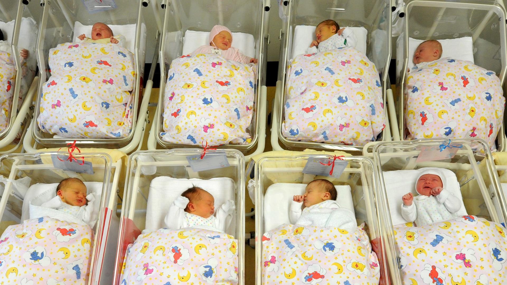 Für ein Foto liegen viele Babys zusammen auf der Neugeborenenstation im Krankenhaus St. Elisabeth und St. Barbara in Halle in ihren Bettchen, aufgenommen am 05.01.2011. Für ein Foto liegen viele Babys zusammen auf der Neugeborenenstation im Krankenhaus St. Elisabeth und St. Barbara in Halle in ihren Bettchen, aufgenommen am 05.01.2011.
