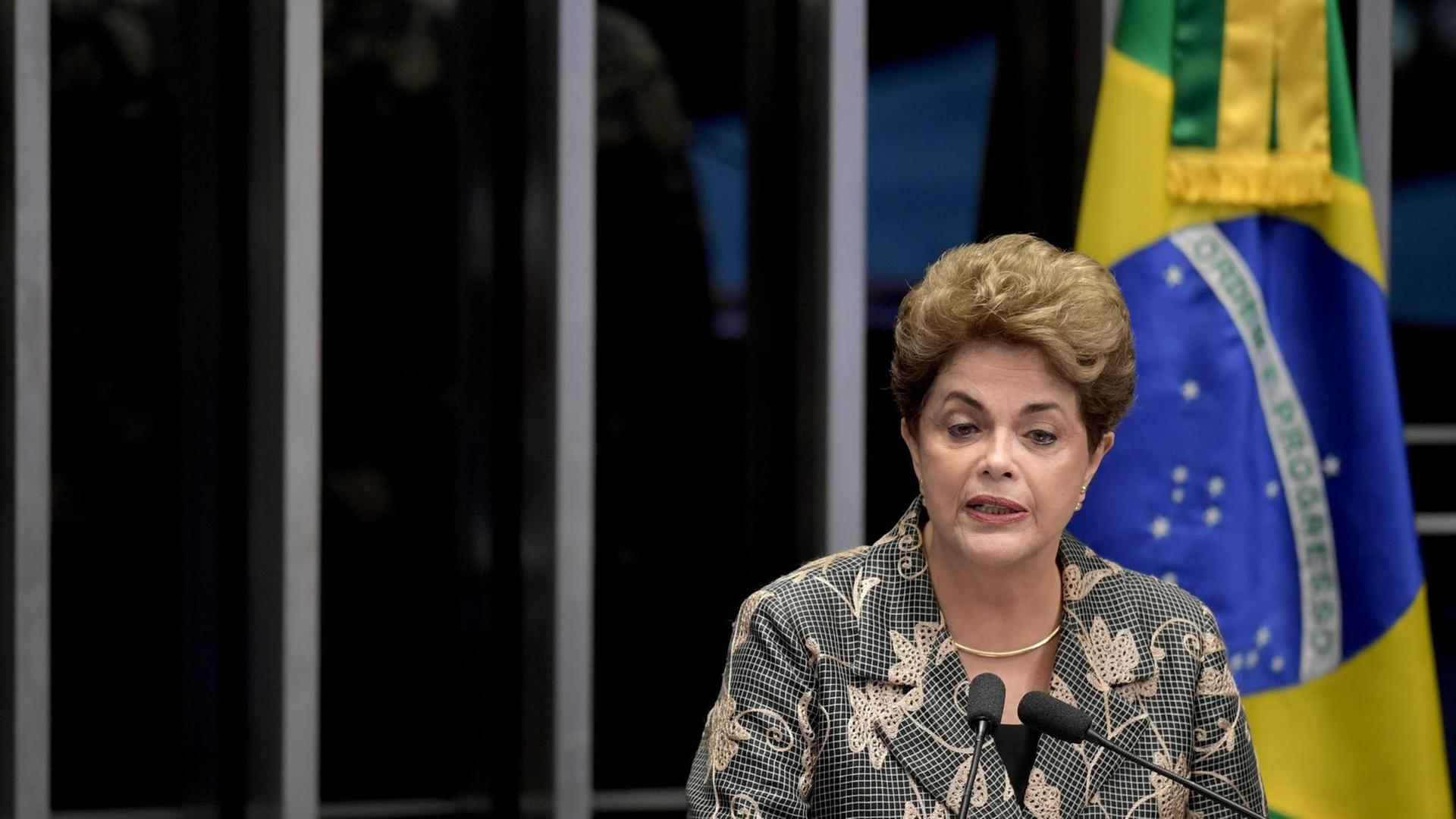 Dilma Rousseff am Rednerpult. Im Hintergrund steht eine brasilianische Flagge. Dilma Rousseff am Rednerpult. Im Hintergrund steht eine brasilianische Flagge.