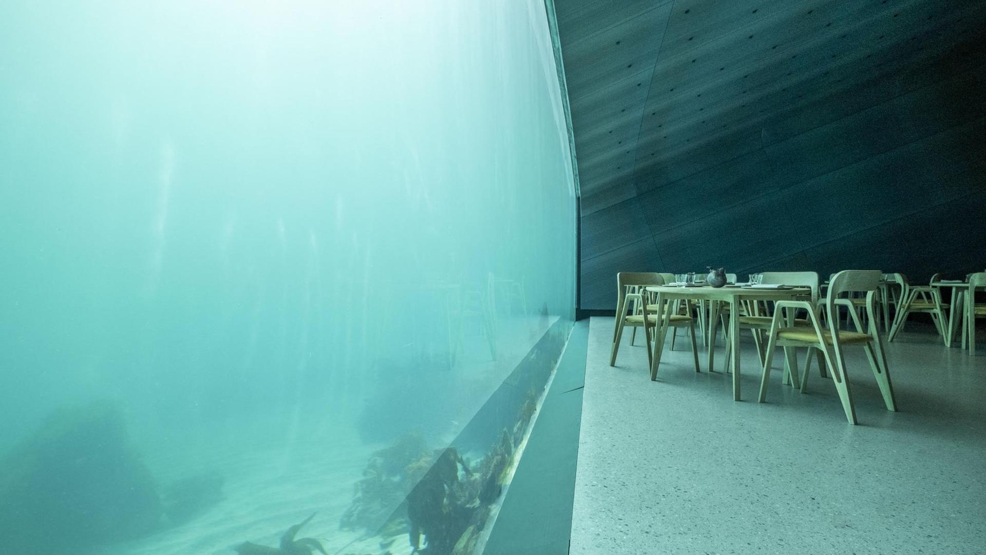 Tische im Restaurant Under stehen direkt neben der Glasscheibe, die einen Blick in den Ozean ermöglicht. Tische im Restaurant Under stehen direkt neben der Glasscheibe, die einen Blick in den Ozean ermöglicht.