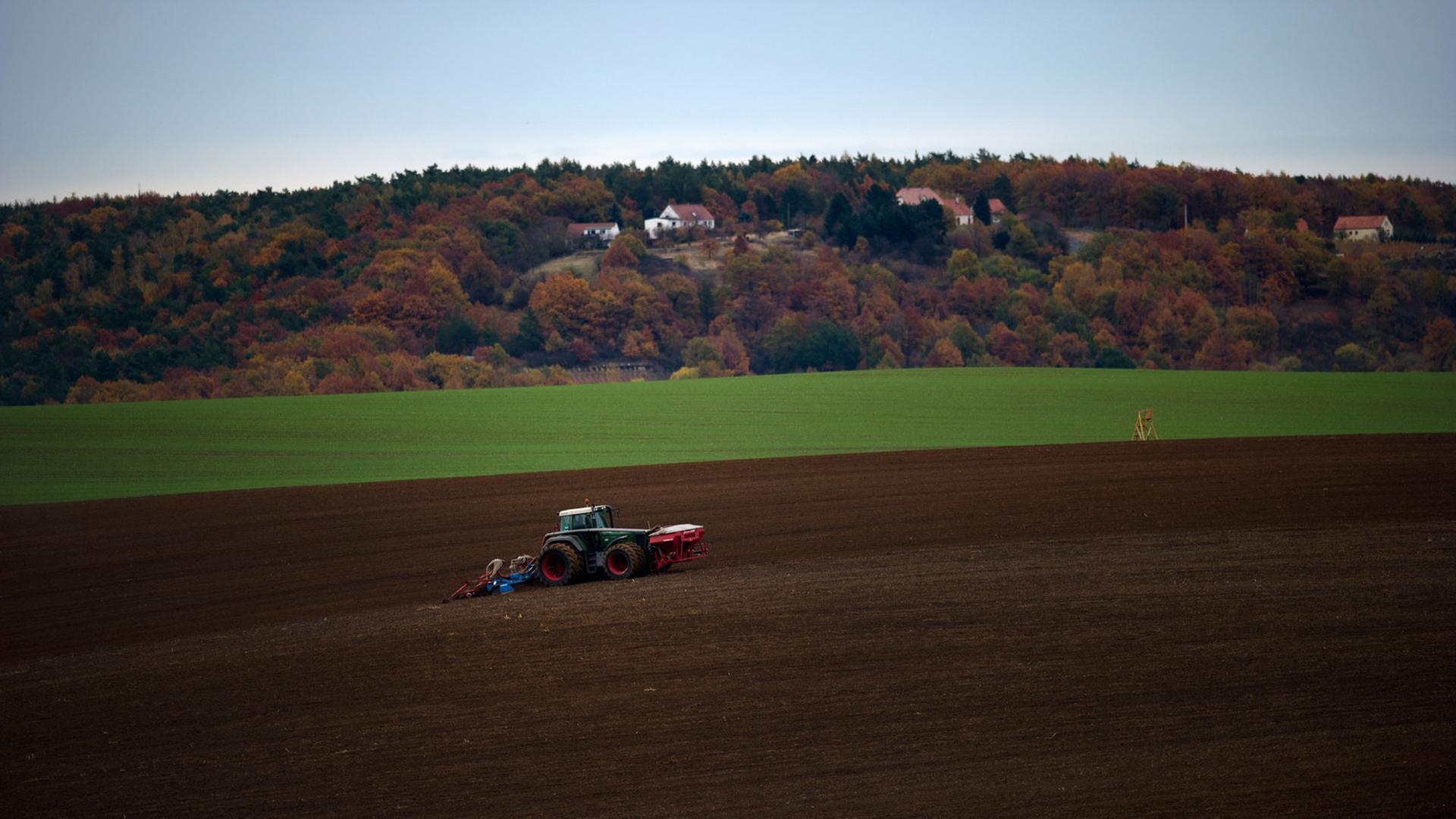 Ein Landwirt bearbeitet am 03.11.2012 einen Acker im Umland von Riesa in Sachsen. Ein Landwirt bearbeitet am 03.11.2012 einen Acker im Umland von Riesa in Sachsen.