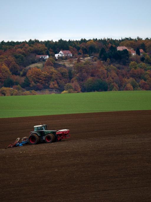 Ein Landwirt bearbeitet am 03.11.2012 einen Acker im Umland von Riesa in Sachsen.