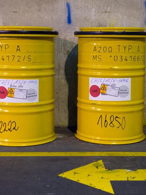 Gelbe Fässer mit radioaktivem Abfall stehen am 6. Mai 2015 neben einem Weg im Zwischenlager der Wiederaufarbeitungsanlage Karlsruhe (WAK) in Eggenstein-Leopoldshafen (Baden-Württemberg).