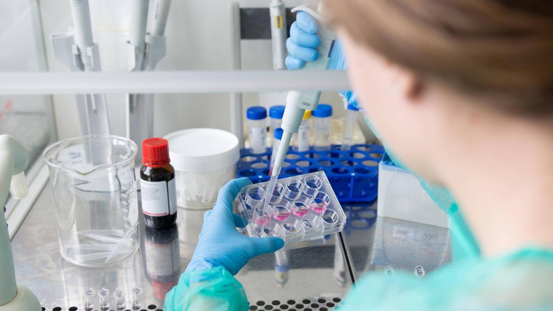 Forscherin im medizinischen Labor bearbeitet Proben mit Antibiotika. Forscherin im medizinischen Labor bearbeitet Proben mit Antibiotika.
