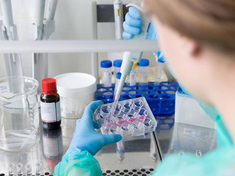 Forscherin im medizinischen Labor bearbeitet Proben mit Antibiotika.