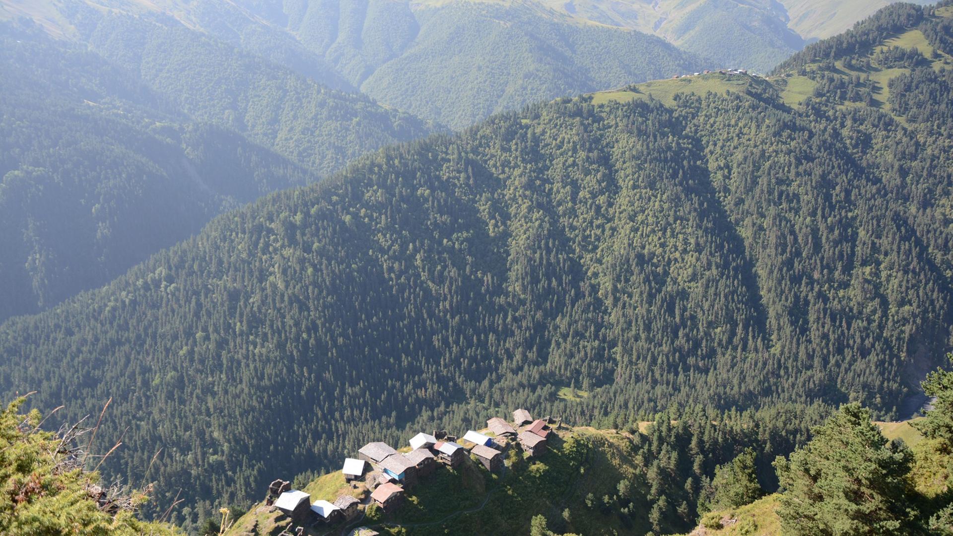 Sattes Grün der Landschaft in Tuschetien: Aufsicht auf kleine Häuser im Dorf Dochu im Gometsari-Tal.