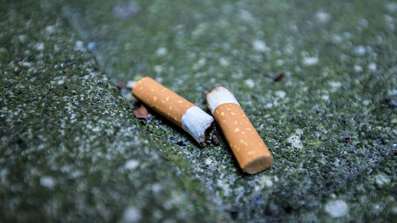 Zwei Zigarettenkippen liegen auf der Straße. Zwei Zigarettenkippen liegen auf der Straße.