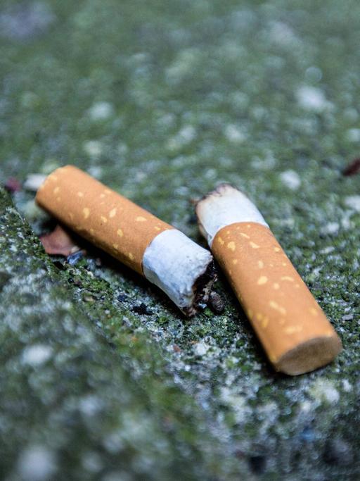 Zwei Zigarettenkippen liegen auf der Straße.