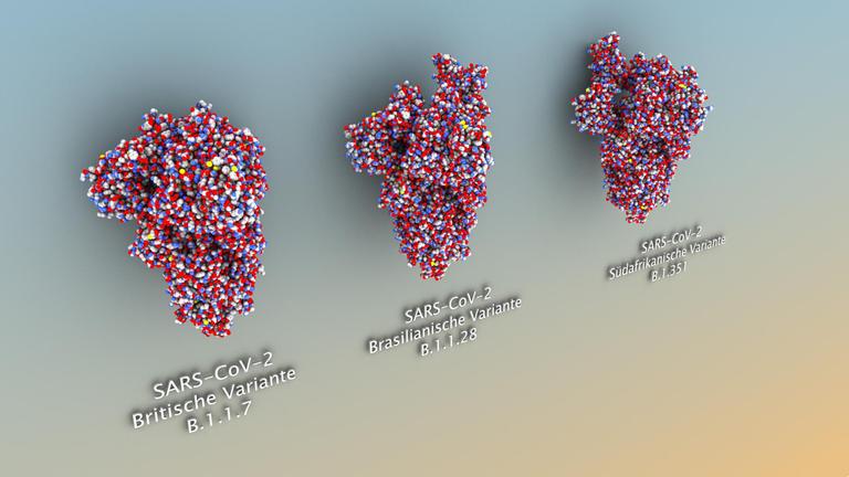 Die Illustration zeigt die Kronenzacken (Spikes) des Coronavirus. Links die britische, in der Mitte die brasilianisch und rechts die südafrikanische Variante. In diesem Bild sind die Atome der Spikes zu erkennen