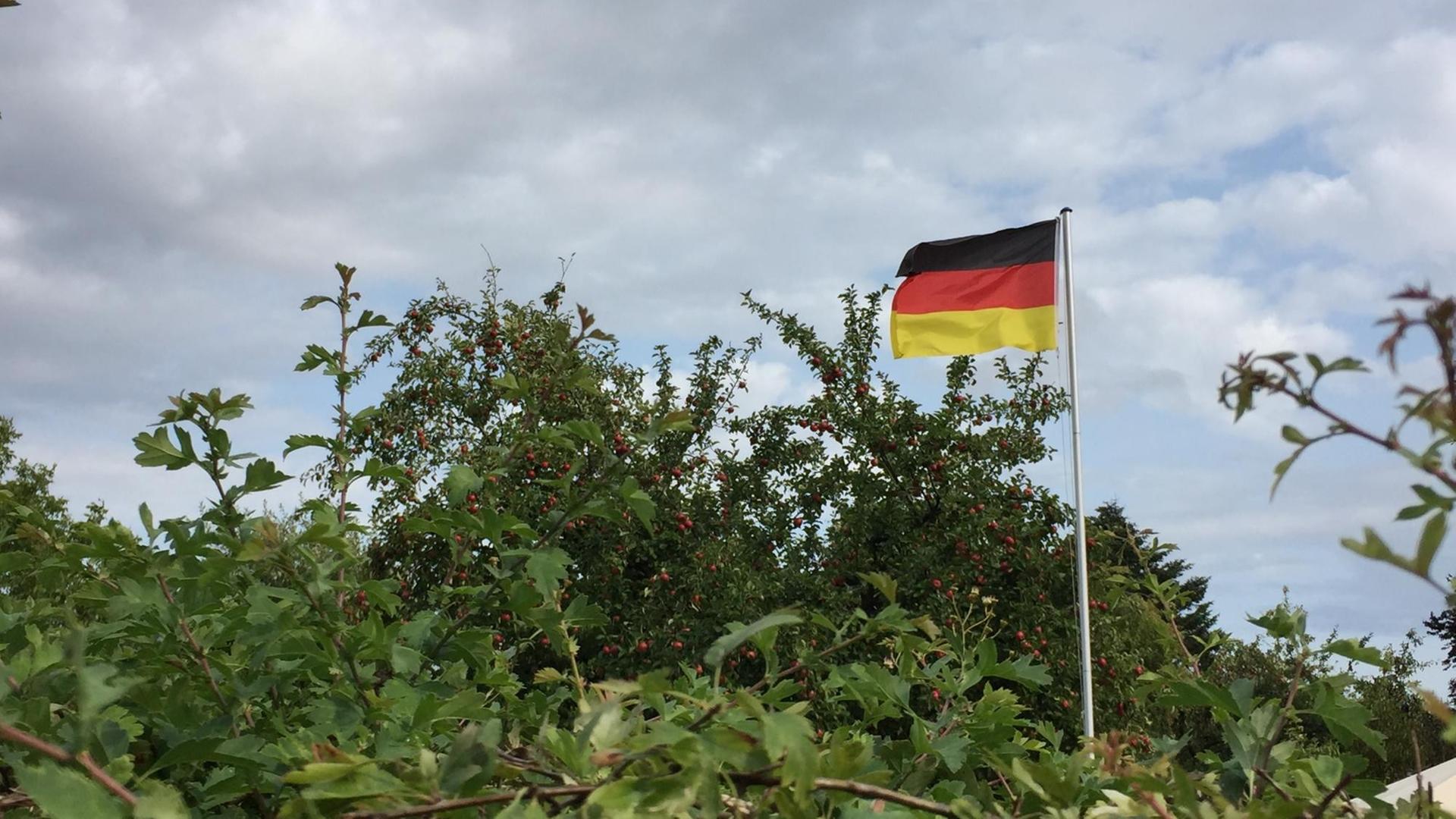Ein Gebüsch aus dem eine Fahnenstange mit der deutschen Flagge herausragt. Ein Gebüsch aus dem eine Fahnenstange mit der deutschen Flagge herausragt.