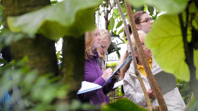 Schüler machen sich Mitschriften während ihres Ausfluges in das Tropenhauses des Botanischen Gartens in Halle.