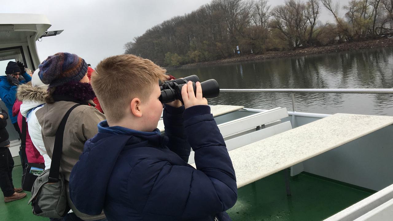 Passagiere eines Schiffs stehen an der Reling und halten mit Ferngläsern Ausschau nach Vögeln am Ufer. Passagiere eines Schiffs stehen an der Reling und halten mit Ferngläsern Ausschau nach Vögeln am Ufer.