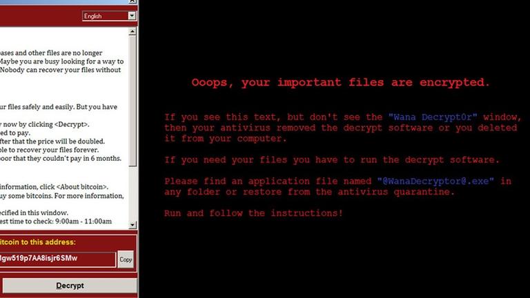 Screenshot der erpresserischen Schadsoftware. Screenshot der erpresserischen Schadsoftware.