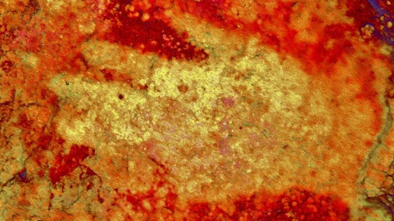 Eine mit Farbpigmenten umblasene Hand an der Wand in der Maltravieso-Höhle in Spanien Eine mit Farbpigmenten umblasene Hand an der Wand in der Maltravieso-Höhle in Spanien