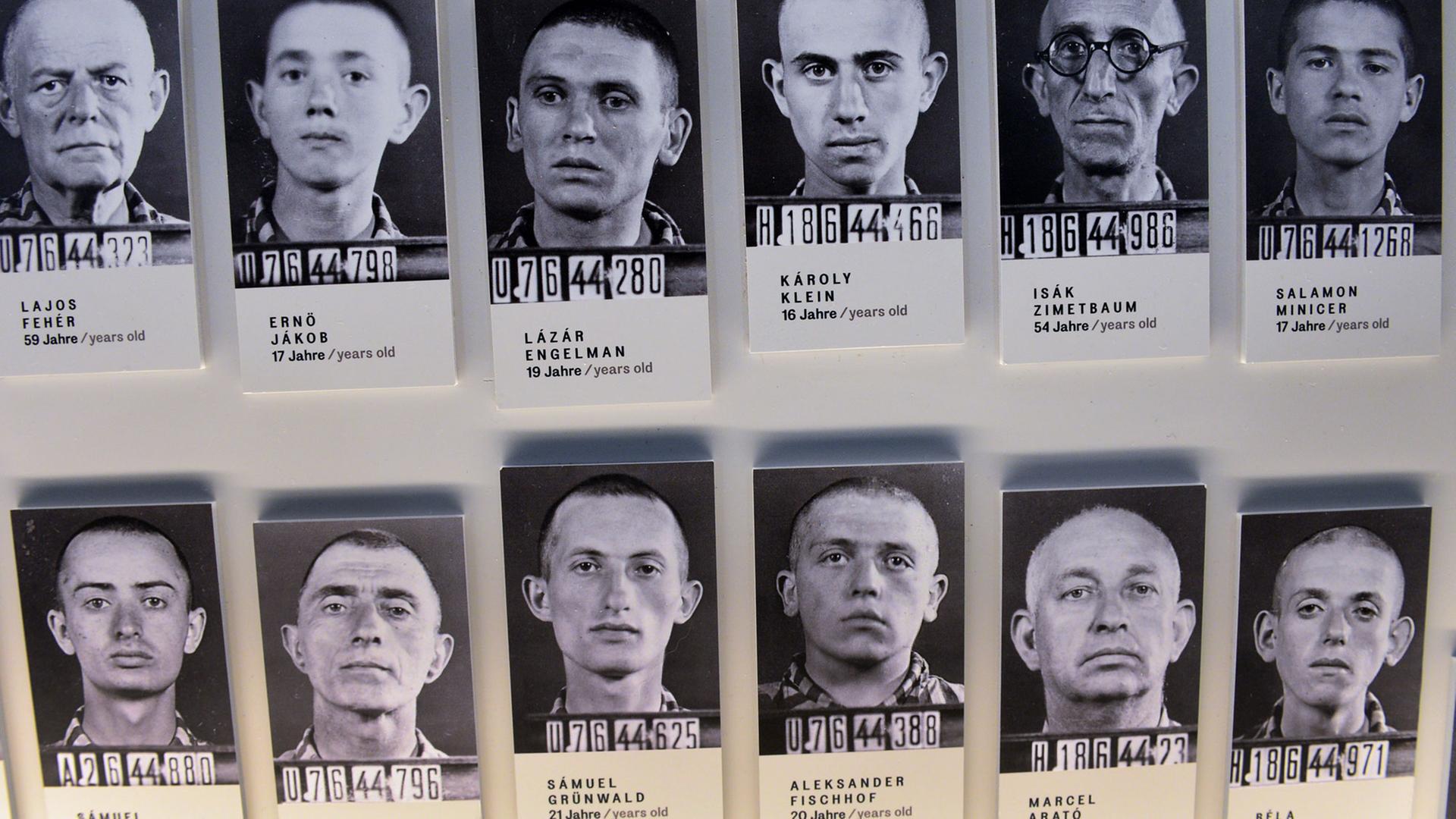 Karteifotos der Gestapo mit ungarischen Juden, zu sehen in der neuen Dauerausstellung "Buchenwald. Ausgrenzung und Gewalt 1937 bis 1945" in Buchenwald bei Weimar. Karteifotos der Gestapo mit ungarischen Juden, zu sehen in der neuen Dauerausstellung "Buchenwald. Ausgrenzung und Gewalt 1937 bis 1945" in Buchenwald bei Weimar.