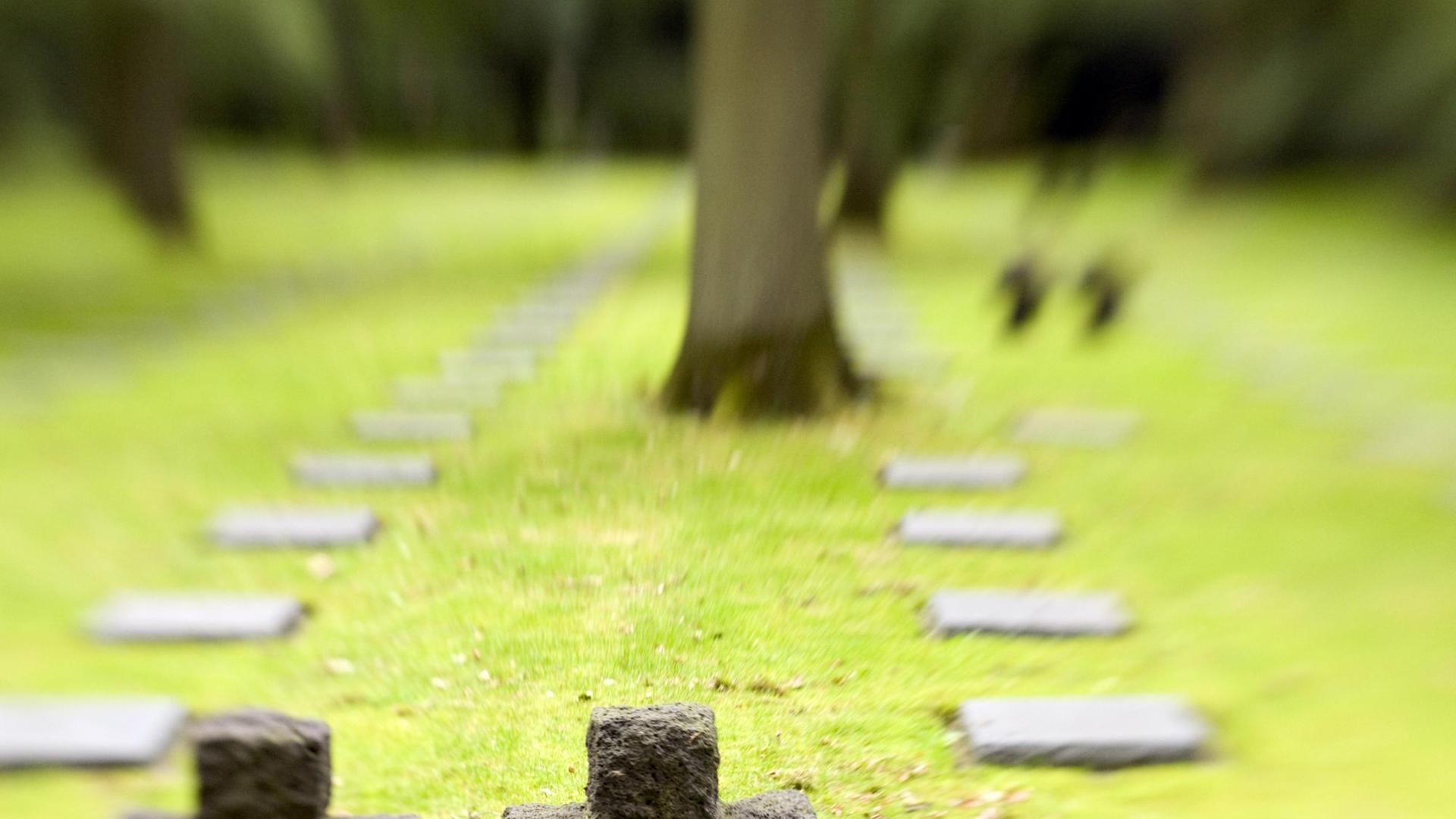 25.644 Soldaten liegen auf dem Soldatenfriedhof Vladslo im belgischen Ypern begraben. 25.644 Soldaten liegen auf dem Soldatenfriedhof Vladslo im belgischen Ypern begraben.