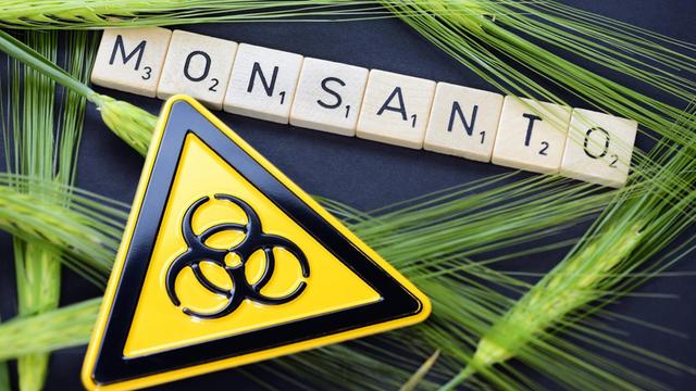 Schriftzug "Monsanto" mit Scrabble-Steinen mit einem Biohazard-Zeichen und Getreideähren