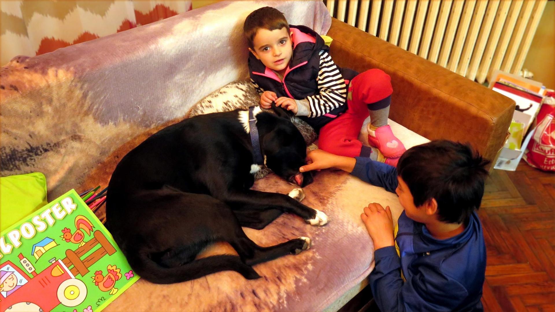 Kinder des Heims "Stern der Hoffnung" spielen mit dem Hund Blacky.