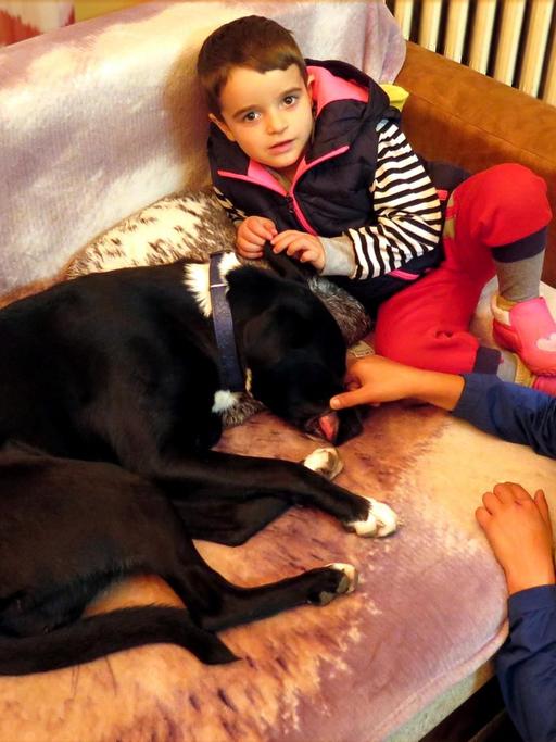 Kinder des Heims "Stern der Hoffnung" spielen mit dem Hund Blacky.