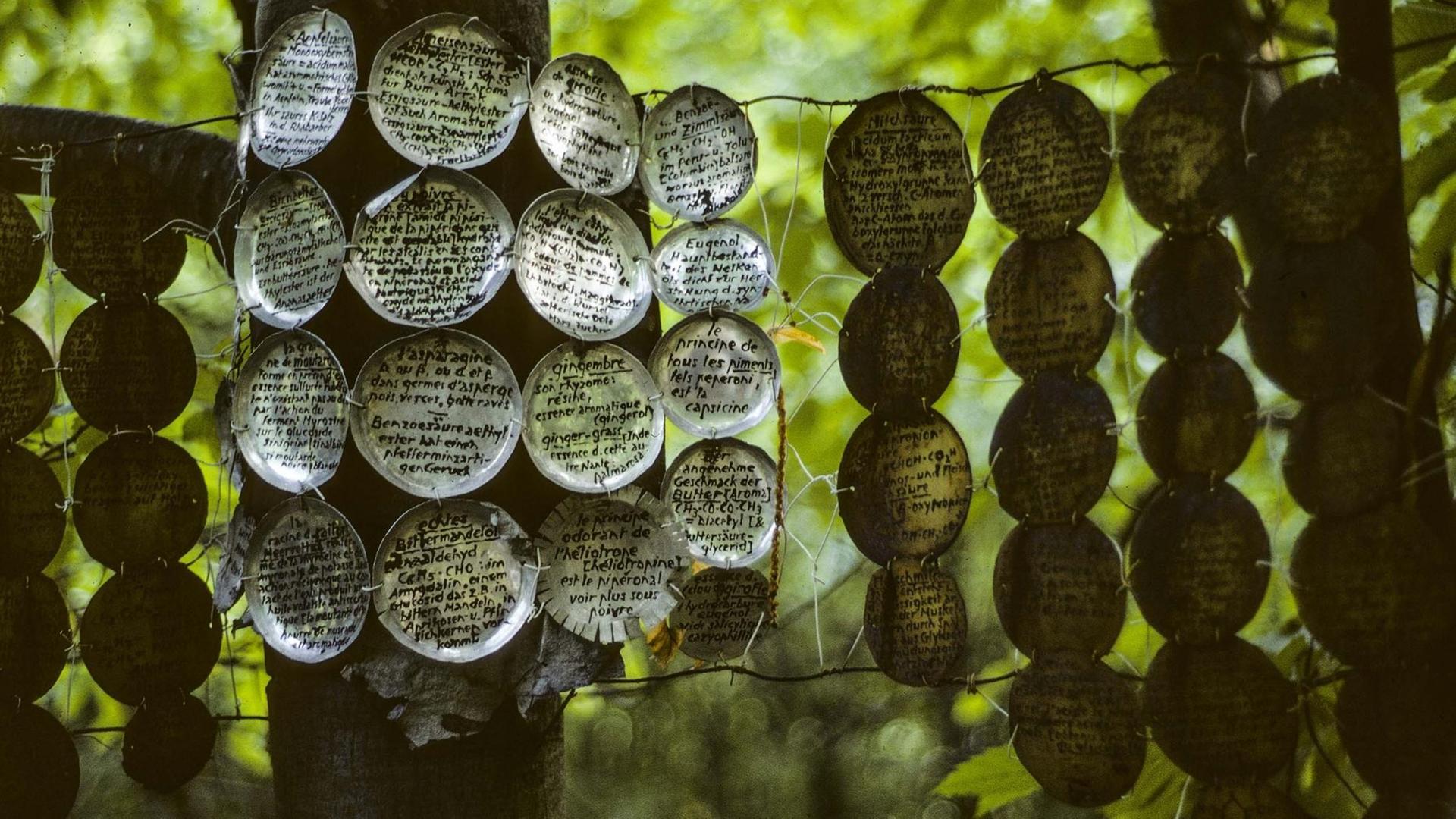 Kleine Silberplättchen mit Schriftzeichen hängen in einem Baum. Kleine Silberplättchen mit Schriftzeichen hängen in einem Baum.