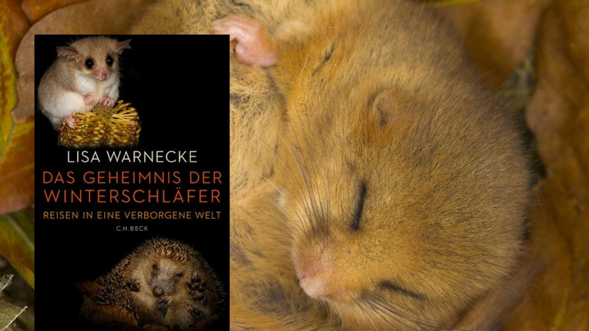 Lisa Warnecke: "Das Geheimnis der Winterschläfer" Lisa Warnecke: "Das Geheimnis der Winterschläfer"