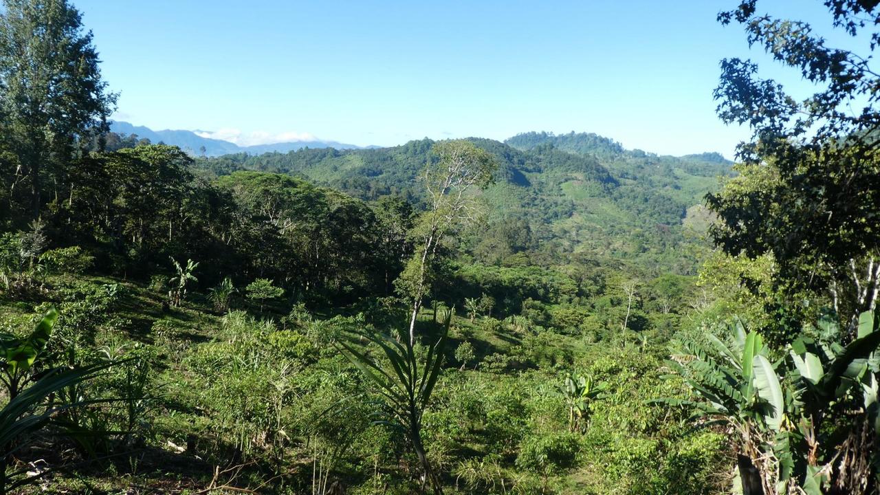 Grüne Hügellandschaft im mexikanischen Bundesstaat Chiapas