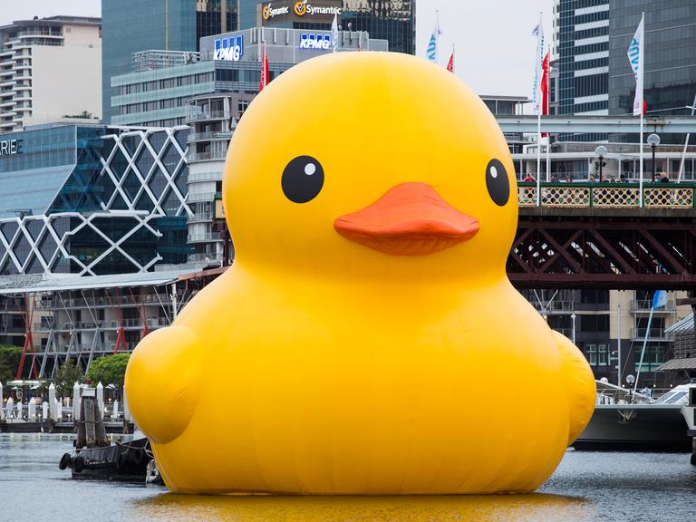 Eine riesige Skulptur in Form eine gelben Ente schwimmt im Hafen von Sydney.