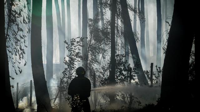 Ein Feuerwehrmann löscht am 11.07.2017 bei Neapel (Italien) einen Brand in einem Waldstück.