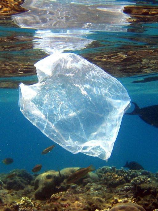 Eine Plastiktüte schwimmt im Meer.