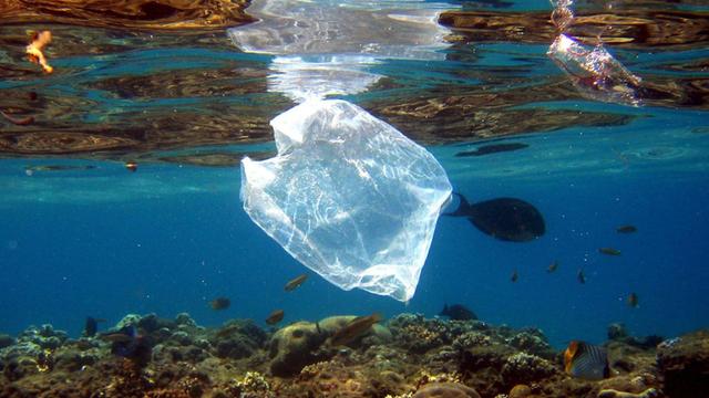Eine Plastiktüte schwimmt im Meer.