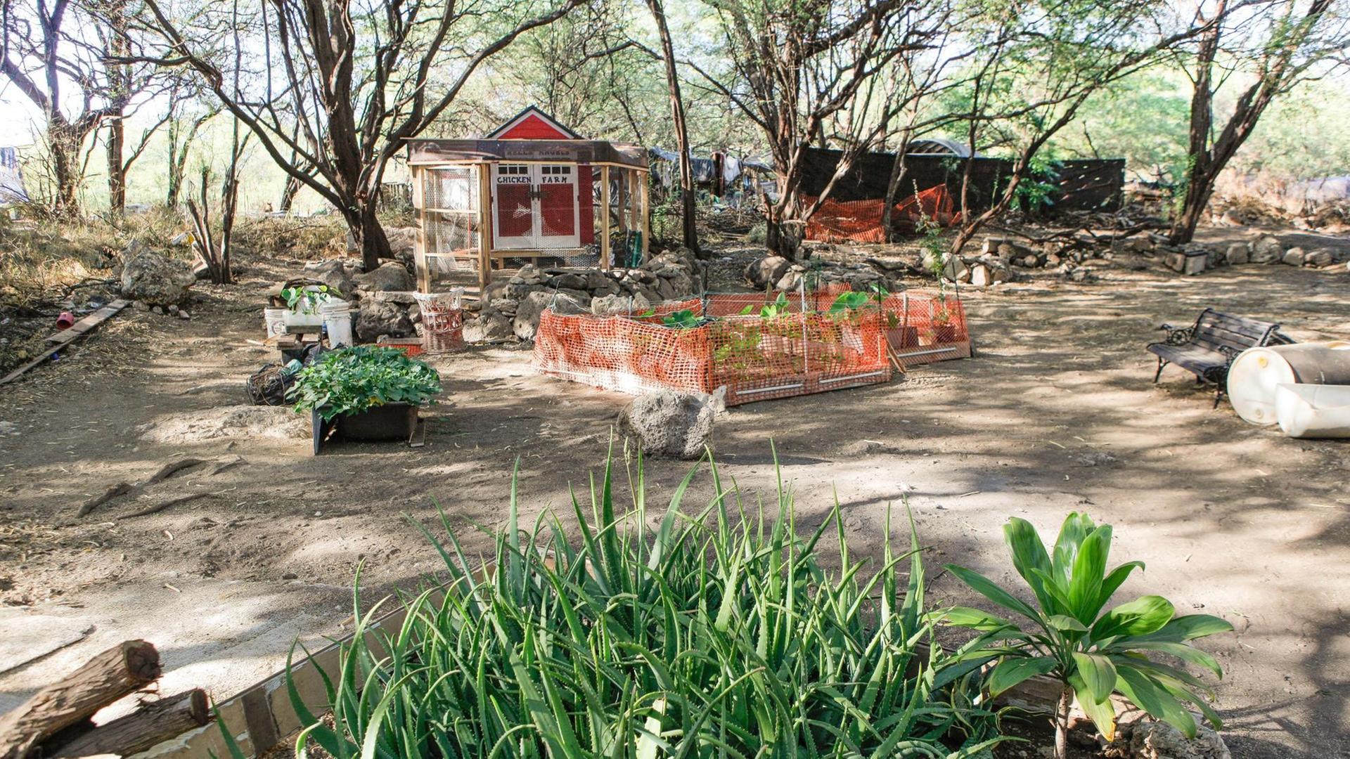 Westside camp farm. Westside camp farm.