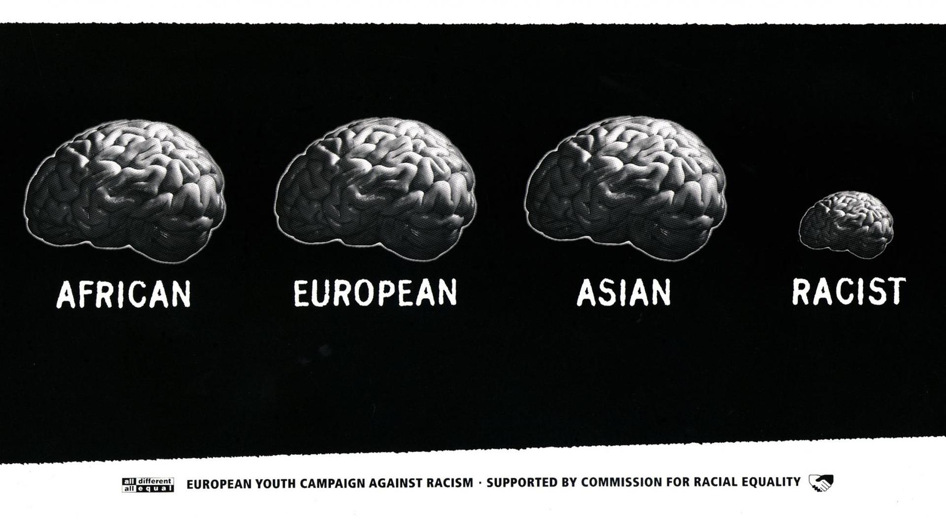 Drei gleich große Gehirne mit den Aufschriften "Afrikaner", "Europäer", "Asiate", ein sehr kleines mit der Aufschrift "Rassist"