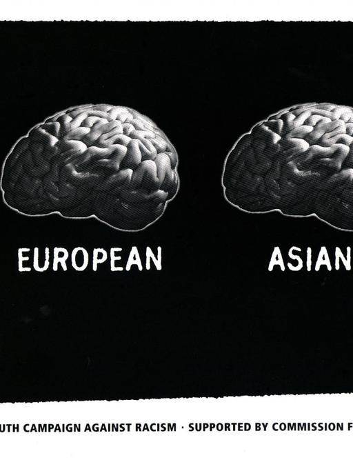 Drei gleich große Gehirne mit den Aufschriften "Afrikaner", "Europäer", "Asiate", ein sehr kleines mit der Aufschrift "Rassist"