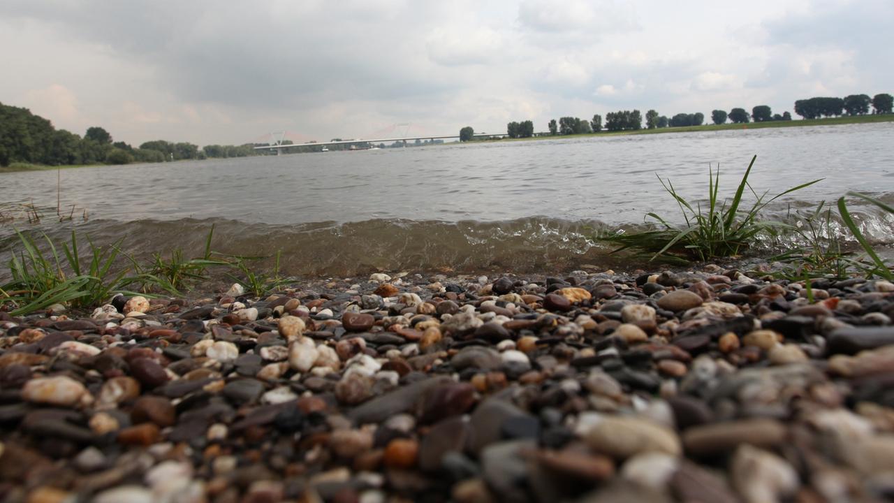 Das Rheinufer bei Düsseldorf. Das Rheinufer bei Düsseldorf.