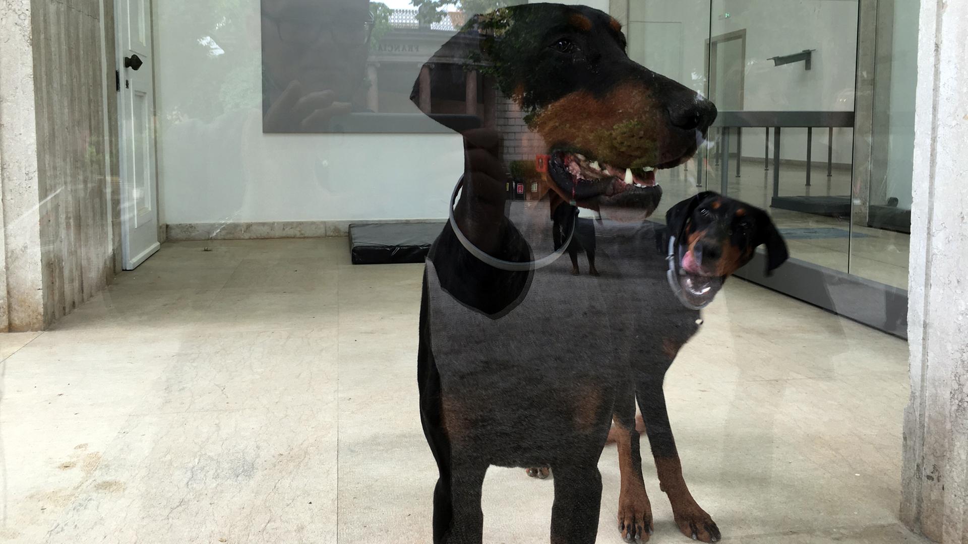 Dobermänner bewachen den deutschen Pavillon auf der Venedig-Biennale 2017 Dobermänner bewachen den deutschen Pavillon auf der Venedig-Biennale 2017