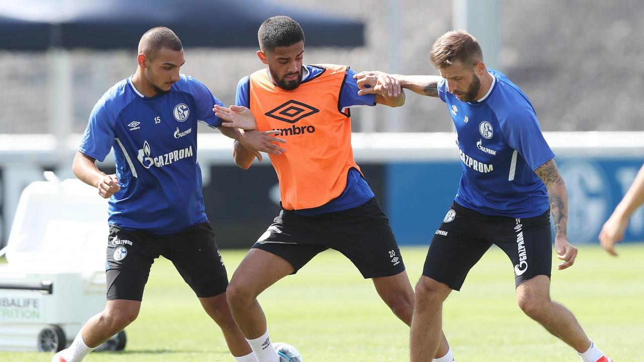 Trainingsauftakt bei Schalke Trainingsauftakt bei Schalke