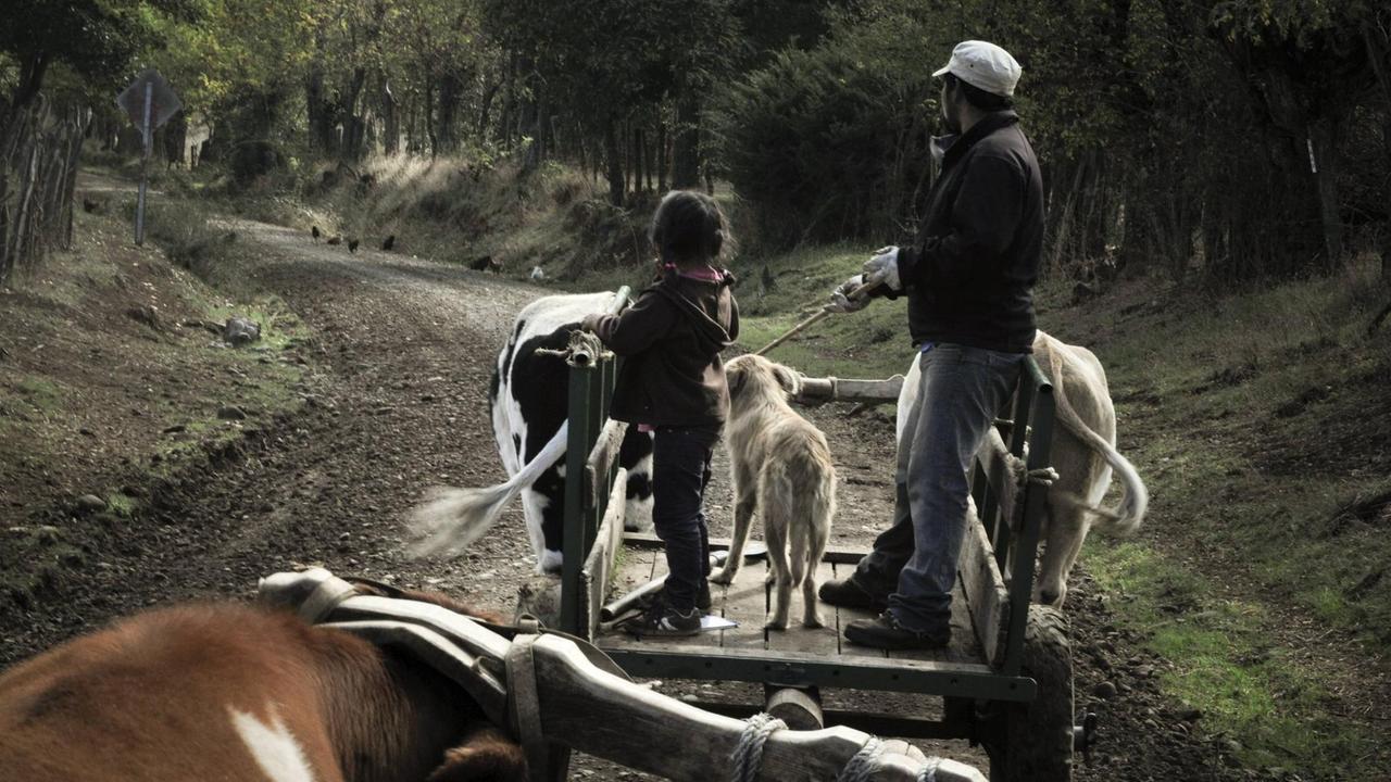 Mitglieder der Mapuche-Gemeinschaft in in Wallmapu (Mapuche Territorium) in Chile. Mitglieder der Mapuche-Gemeinschaft in in Wallmapu (Mapuche Territorium) in Chile.