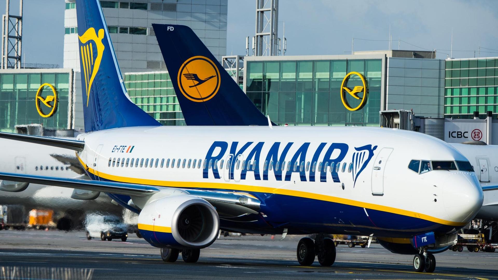 Ein Flugzeug der Fluglinie Ryanair rollt am 02.11.2016 auf den Flughafen in Frankfurt/M. (Hessen) Ein Flugzeug der Fluglinie Ryanair rollt am 02.11.2016 auf den Flughafen in Frankfurt/M. (Hessen)