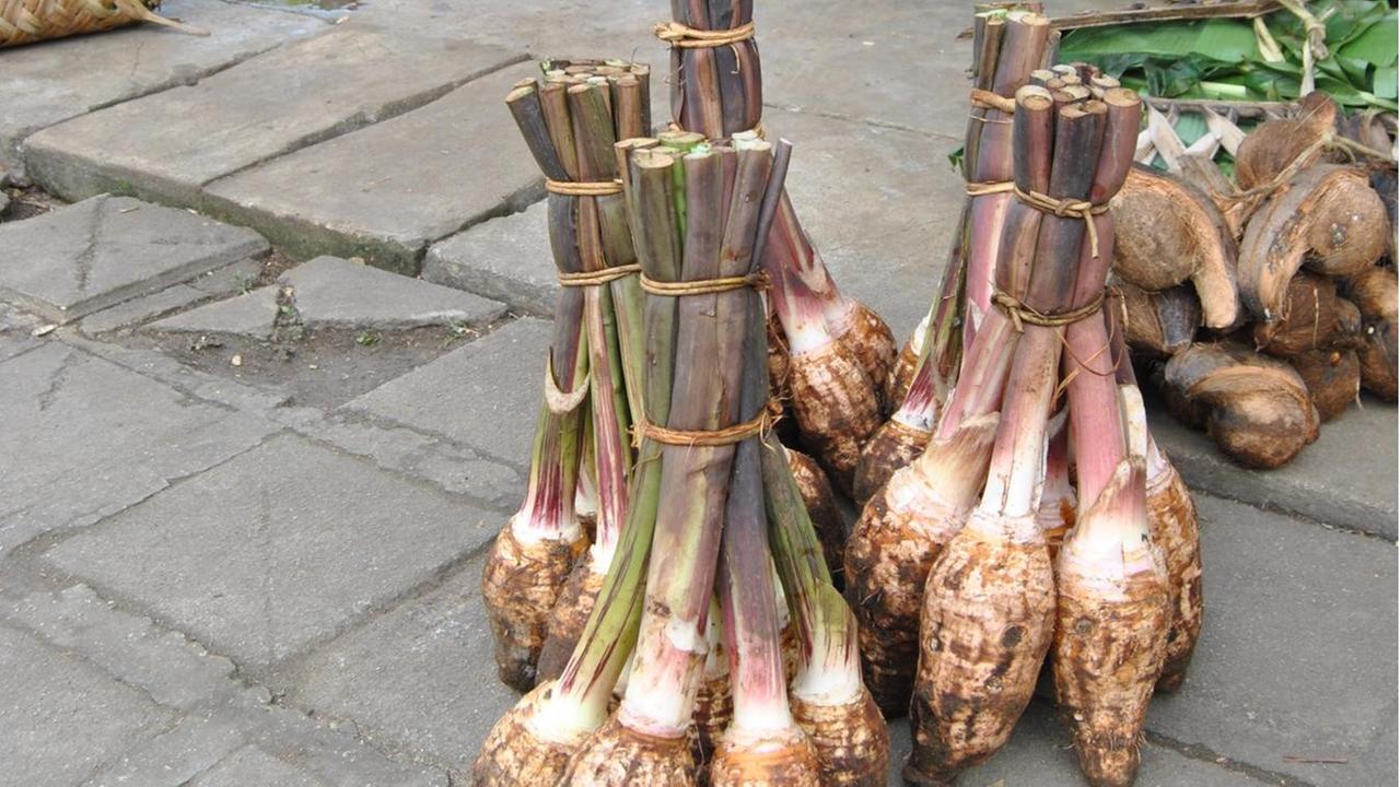 Taro-Knollen auf einem Markt Taro-Knollen auf einem Markt