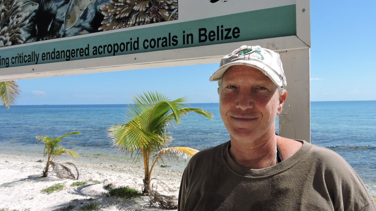 Eine blonde Frau mit Käppi und Sweatshirt steht vor Palmen und Meer am Strand. Eine blonde Frau mit Käppi und Sweatshirt steht vor Palmen und Meer am Strand.