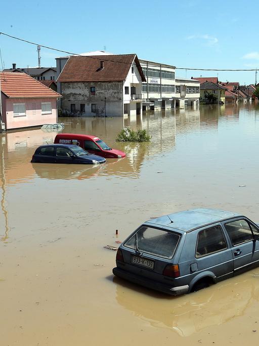 Zerstörerische Fluten: Hochwasser in der Ortschaft Bosanski im Norden Bosniens.