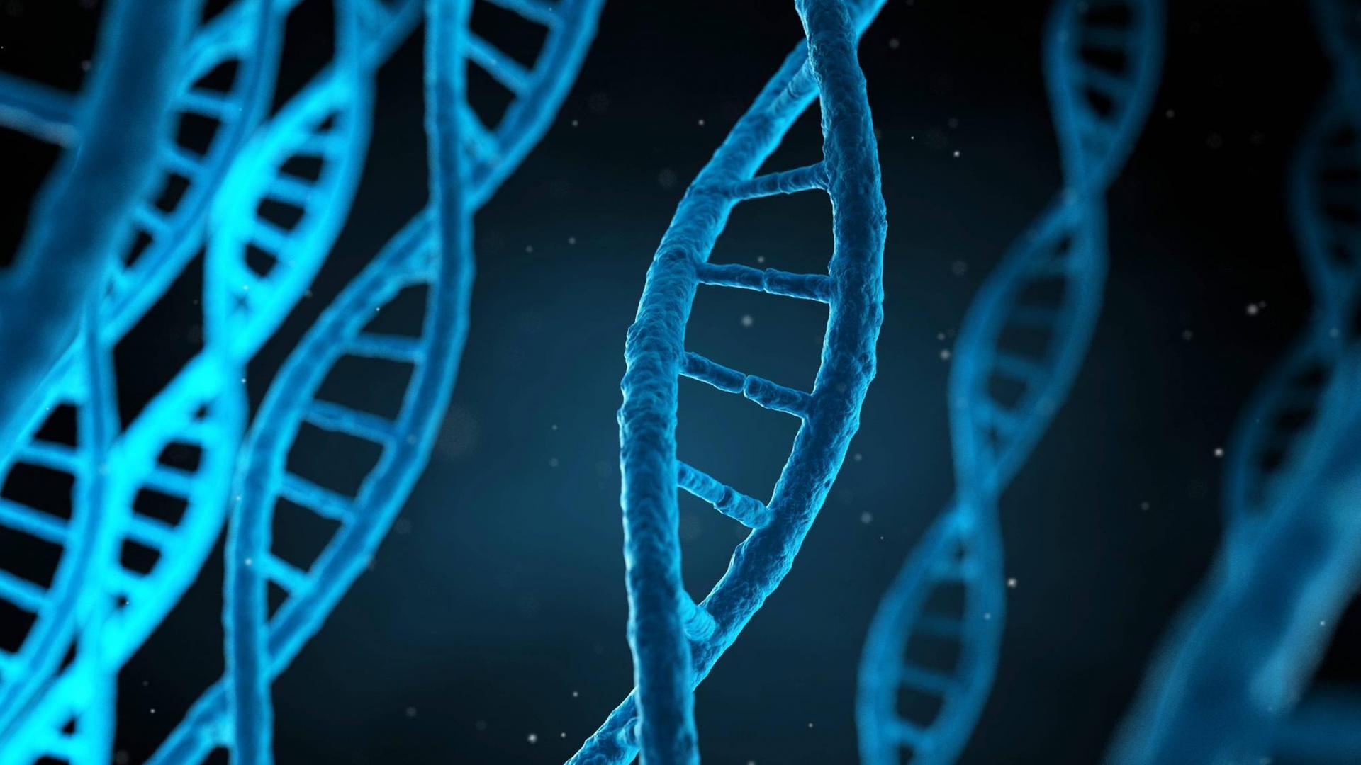 Strang der menschlichen DNA (Computersimulation). Strang der menschlichen DNA (Computersimulation).