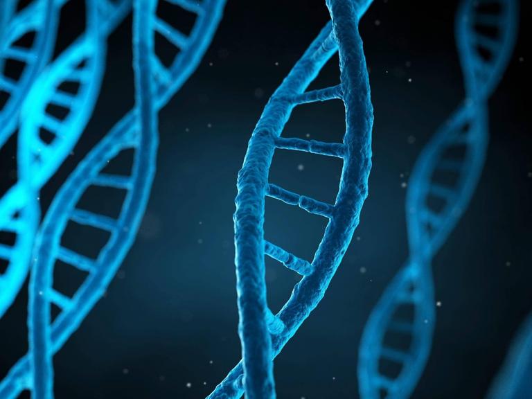 Strang der menschlichen DNA (Computersimulation).