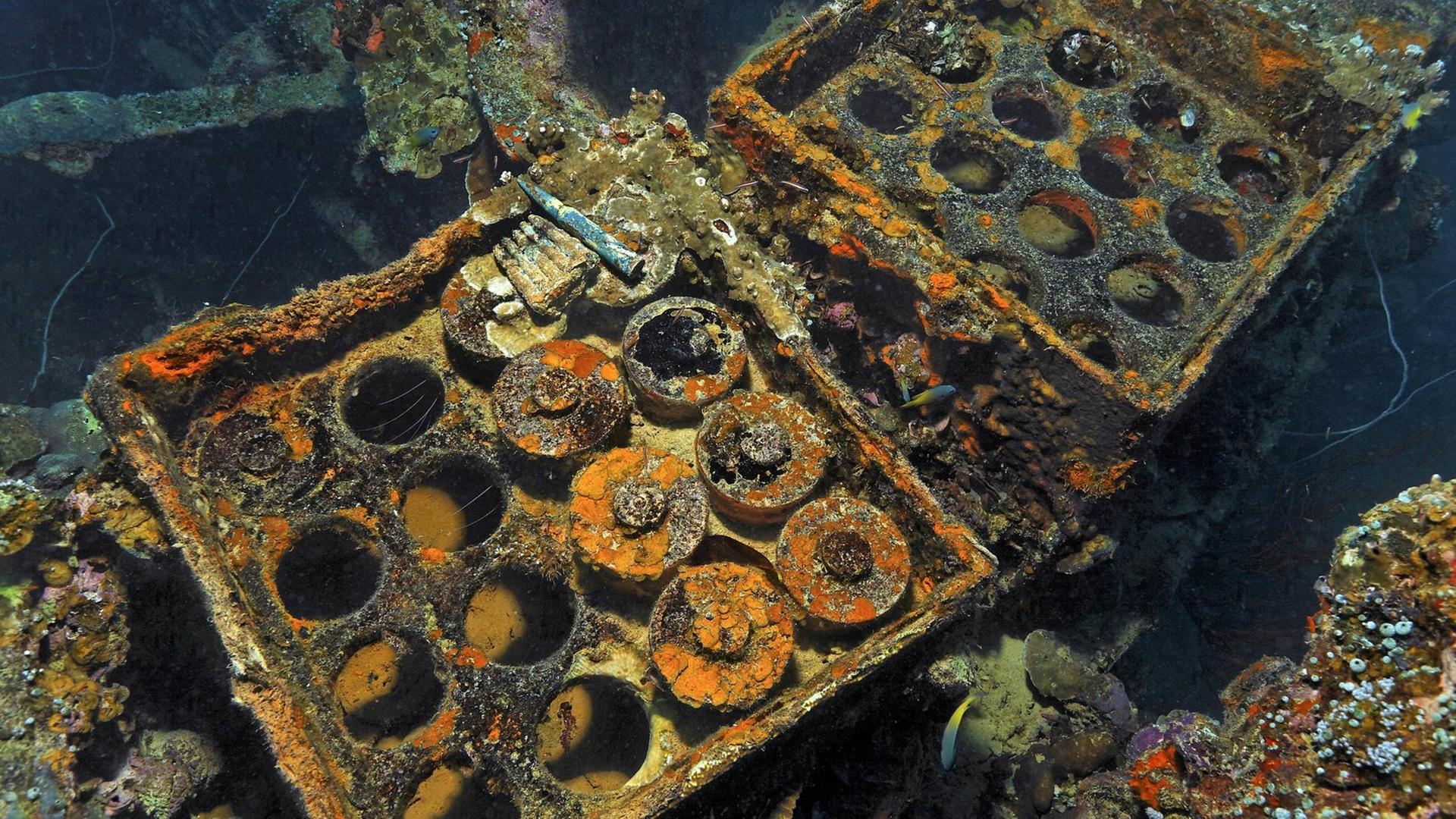 Scharfe Munition im japanischen Schiffswrack Helmet wreck, Palau, Mikronesien, Ozeanien Scharfe Munition im japanischen Schiffswrack Helmet wreck, Palau, Mikronesien, Ozeanien