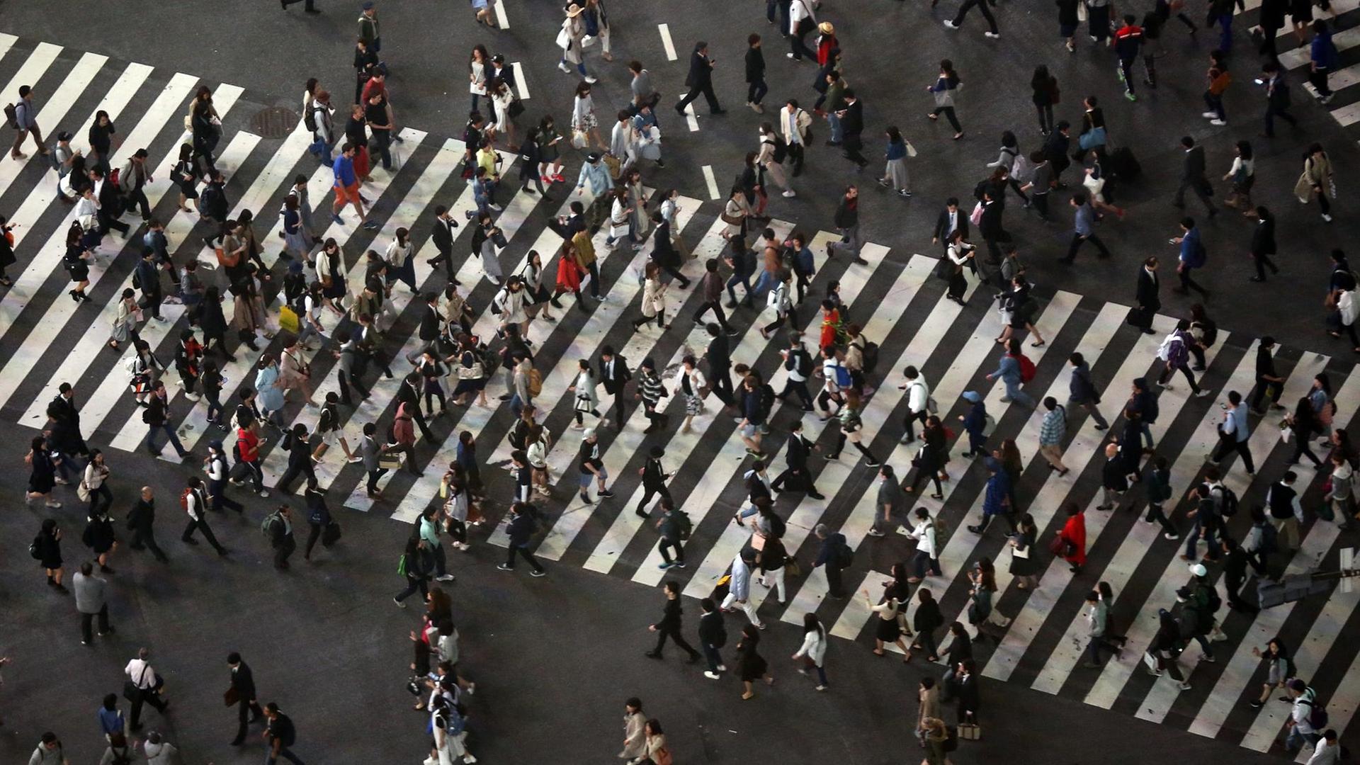 Luftaufnahme auf die Shibuya-Kreuzung in Tokio. Luftaufnahme auf die Shibuya-Kreuzung in Tokio.